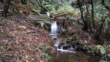 CASA DE VERDES Turismo Rural - Foto 5