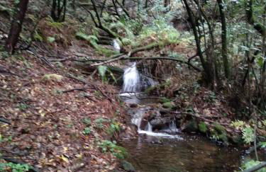 Casa de Verdes - In Cabana de Bergantinos - Foto 10