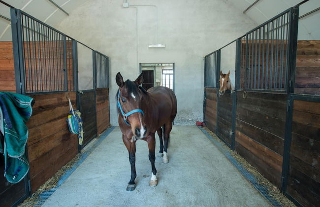 Fattoria Didattica La Collina Incantata - Photo 28