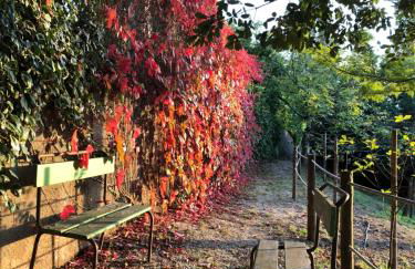 Casas Dos Infantes - Turismo Rural - Foto 46