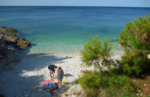 Apartman Sara - Foto 34