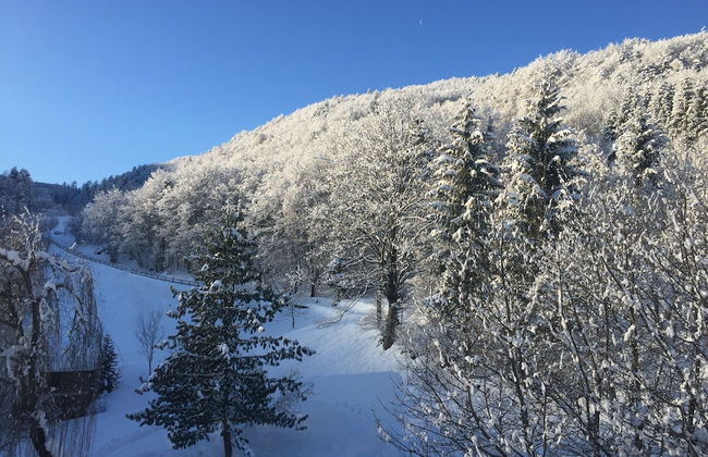 CasaDalsass DolomitiPaganellaLagoMolveno - Photo 15