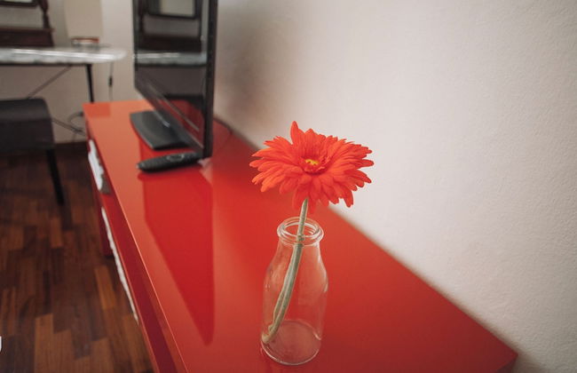 Italianway - Cesare Da Sesto - Photo 8