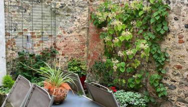 Gite des Gargouilles - Foto 3