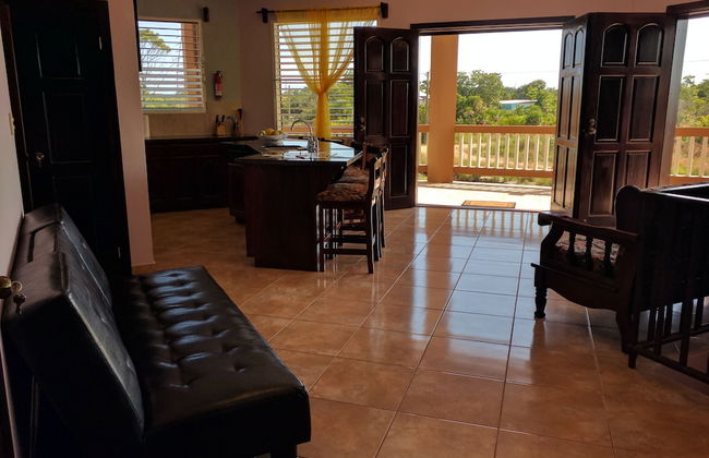 Savannah Sand Dollar - Foto 8