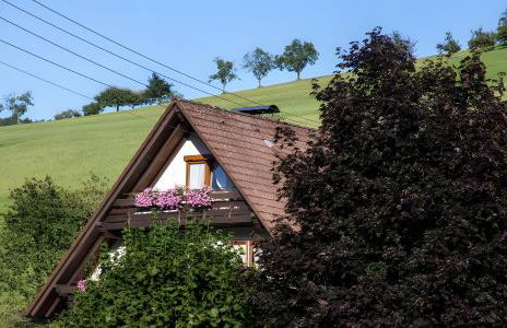 Kornbauernhof - Foto 22