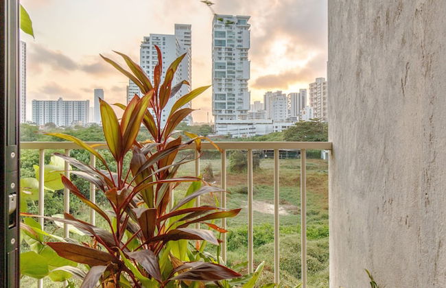 Bondo Estudio - Foto 39