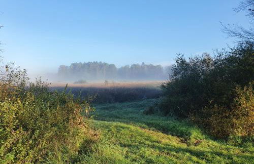 Haus Gutland - Foto 25