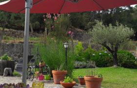 Quinta Vale do Nox - Foto 10