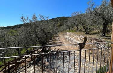 Agriturismo Campo dei Lupi - Foto 23