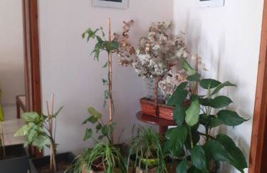 Vagelis 2 Nemea apartments - Foto 24