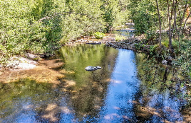 Yosemite Heights on Big Creek - Photo 24