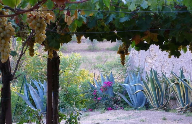 Tenuta Bartoli Maison de charme - Foto 31