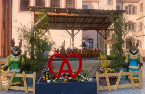 Le Belvédère Alsacien - Foto 33