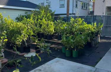 Long Beach vocation home - Foto 8