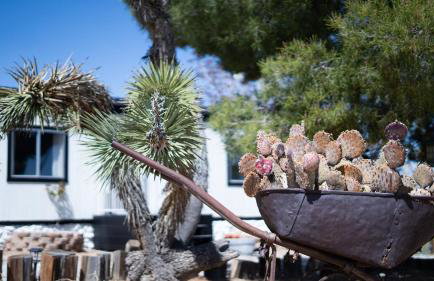 Wind Desert Spirit Pioneertown - Foto 24