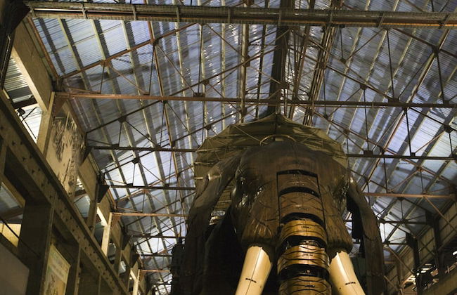 Cerise Nantes La Beaujoire - Foto 43