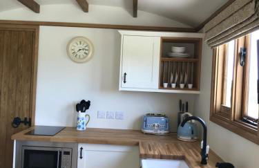 Ty Beti at Gorlan yr Efail Shepherds Hut with Private Hot Tub - Foto 19