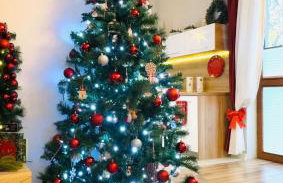 Rosa Apartamenty - Foto 73