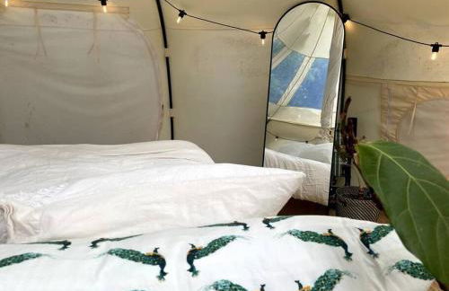 The Hideout - Stargazing Glamping Swim Oasis - Foto 10