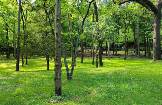 Bean Creek Cabins - Foto 22