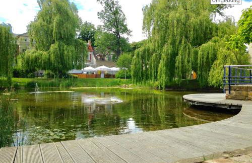 1-Raum-Wohnung mit Balkon, am Kurpark am Gradierwerk - Foto 18