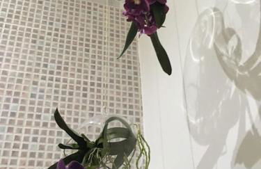 Appartement 3 chambres vue sur la Garonne - Foto 30