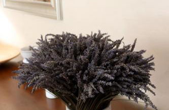 Bastide Juliana - Foto 14