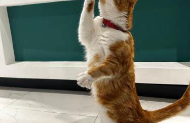 Your Home Away, Luxury House - Foto 21