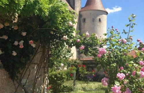 Authentique Grange du XVème siècle avec jardin et animaux admis - FR-1-489-275 - Foto 7