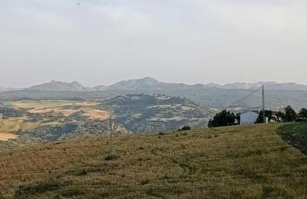 Nature Lovers Escape on an Eco-friendly Vineyard - Foto 51