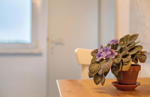 Ferienhaus Engelsberghof - Foto 12