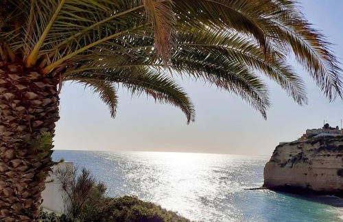 Casa Ocean - Foto 29