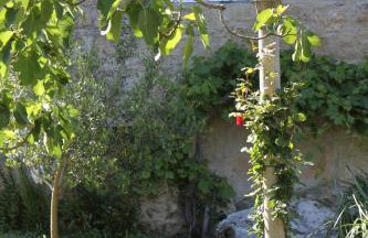 Apartments with a parking space Popovici, Dubrovnik - 8694 - Foto 9