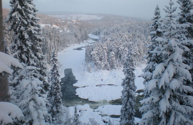 Ristafallets camping - Photo 23