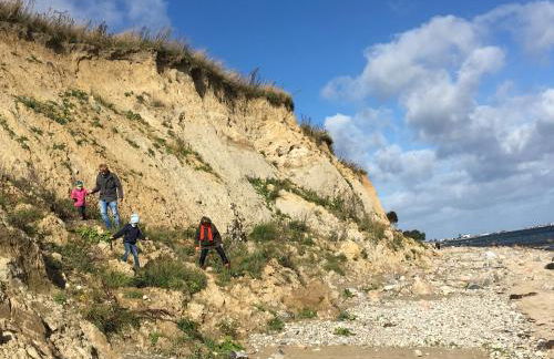 Ferienhof Schulz - Foto 17