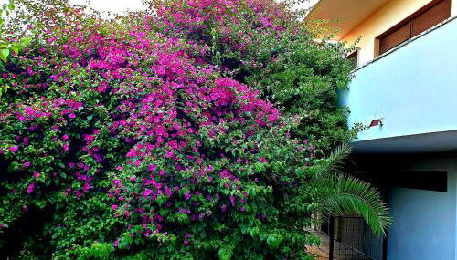 QUIET HOUSE GARDEN NAPLES-POMPEI-SORRENTO - Foto 5