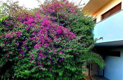 QUIET HOUSE GARDEN NAPLES-POMPEI-SORRENTO - Foto 5