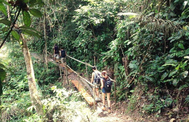 Excursión a la Catarata de Pucayaquillo - Foto 4