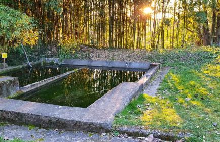 LA FIGUIERA de 1 à 4 personnes - Foto 25