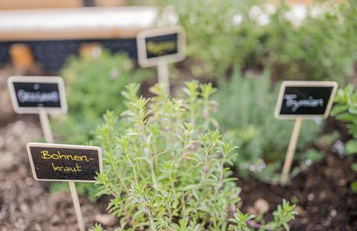 Appartement Birkenhof - Foto 8