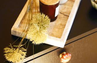 Stylowe Beskidy - luksusowe domki z saunami i jacuzzi - Foto 23