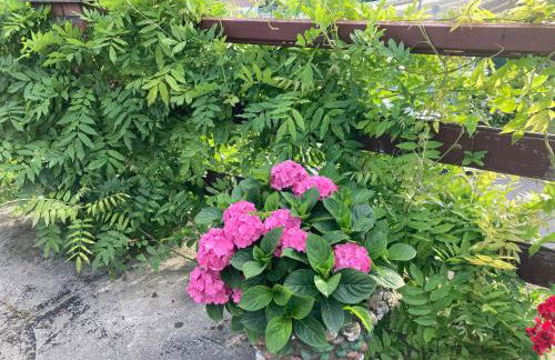 La Casa de la Carpintería - Foto 10