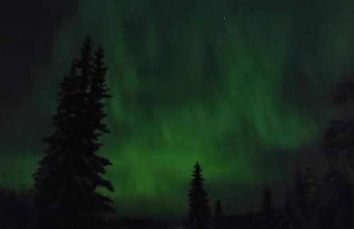 Aurora Ridge Retreat 2BR Near UAF - Foto 12