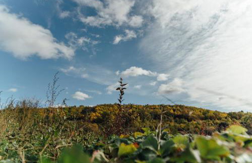 Alojamiento Turístico La alegría de la huerta - Foto 38