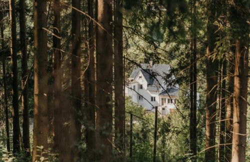 Villa Hoheneck - Foto 41