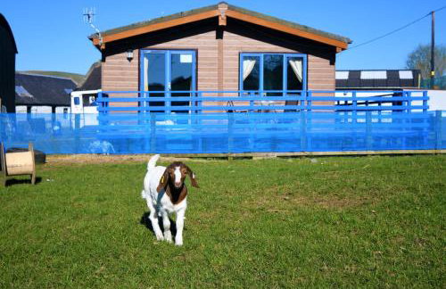 Glen Roe - 3 Bed Lodge on Friendly Farm Stay - Foto 24