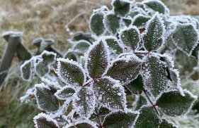 Gospodarstwo Agroturystyczne Zasadkowe Bory - Foto 30
