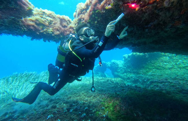Curso de buceo PADI Open Water en Son Xoriguer - Foto 6