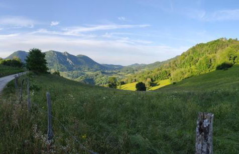 L'Aristoloche - Foto 30